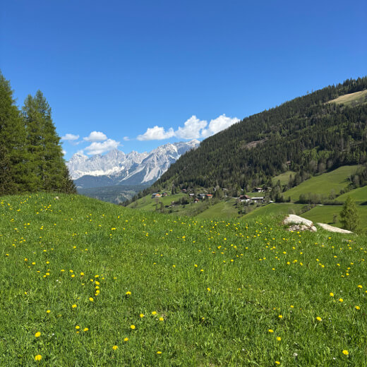 Aussicht zum Dachstein