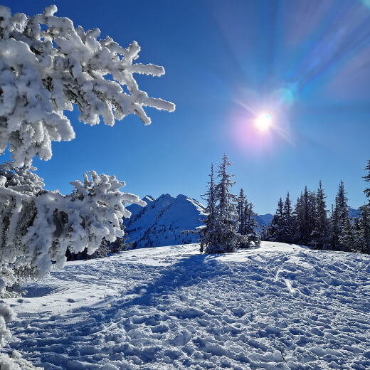Winterlandschaft